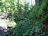 IMG_6556.JPG